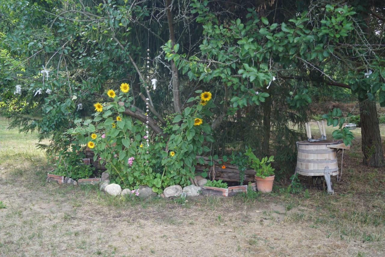 Ferienwohnung Rehagen Sued Am Mellensee Exterior foto