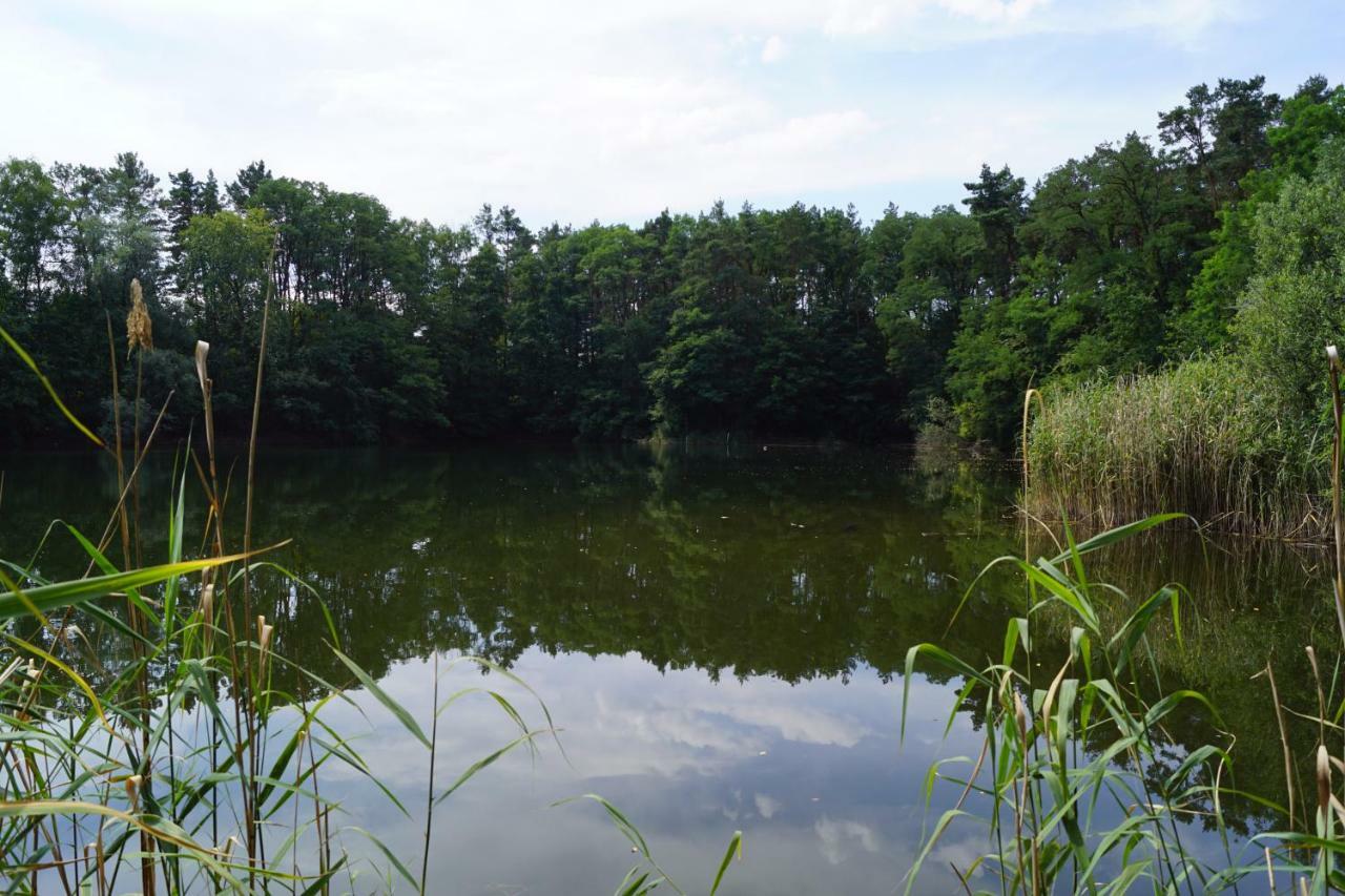 Ferienwohnung Rehagen Sued Am Mellensee Exterior foto
