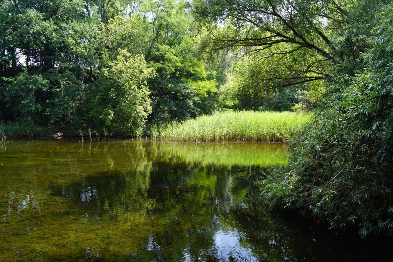 Ferienwohnung Rehagen Sued Am Mellensee Exterior foto